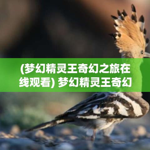 (梦幻精灵王奇幻之旅在线观看) 梦幻精灵王奇幻之旅：探索他的神秘领地，揭开古老传说的序幕。